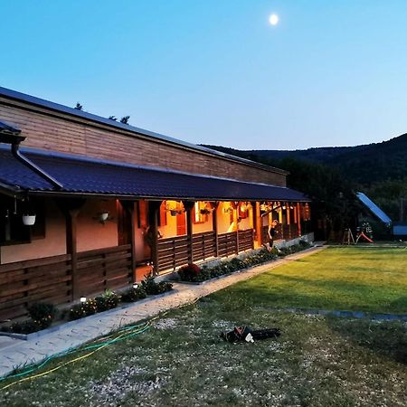 Casa Borcean 2 Guest House Sasca Montana Exterior photo