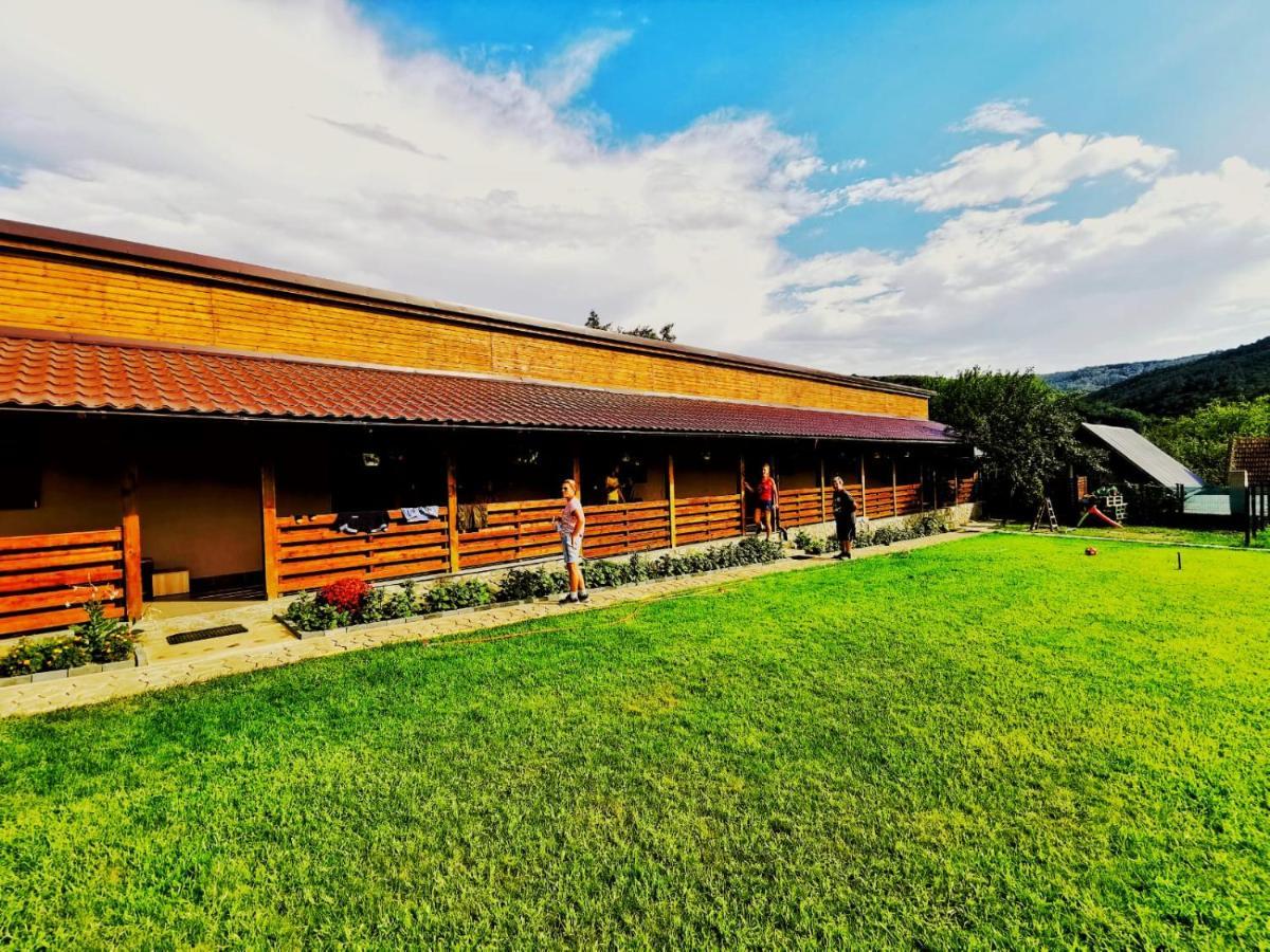 Casa Borcean 2 Guest House Sasca Montana Exterior photo